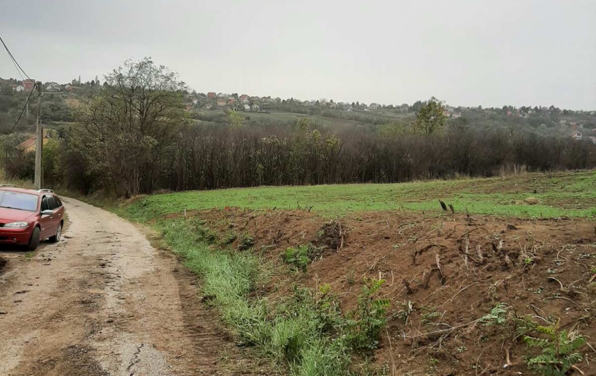 Prodaje Se Plac 10 Ari Opstina Čukarica, Mesto Velika Moštanica - Kupi ...